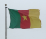 Fight against illegal fishing: Commission identifies Cameroon as a non-cooperating country
