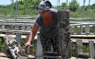 Ukraine's snail farmers fear collapse over EU lockdowns