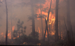 Forest fires: European Commission is stepping up its preparations for the forest fire season 2021