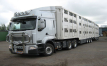Better conditions for animals in transport