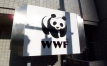 WWF urges Belgium to rejoin supporting countries for nature restoration law