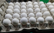 Dutch supermarkets embrace cheaper, environmentally friendly white eggs
