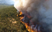 Wildfire in Southern France claims one life, spreads rapidly