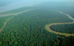 Germany signals backing for Brazil’s new tropical forest protection fund ahead of COP30