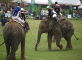 Polo elephants rumble in Bangkok's urban jungle