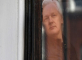 Julian Assange: Transparency icon or enemy of the state?