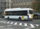 High percentage of buses and trams in Flanders fail to maintain timeliness