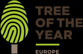 Poland secures fourth consecutive win in European Tree of the Year contest