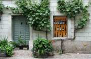 Swiss wine consumption drops sharply in 2024